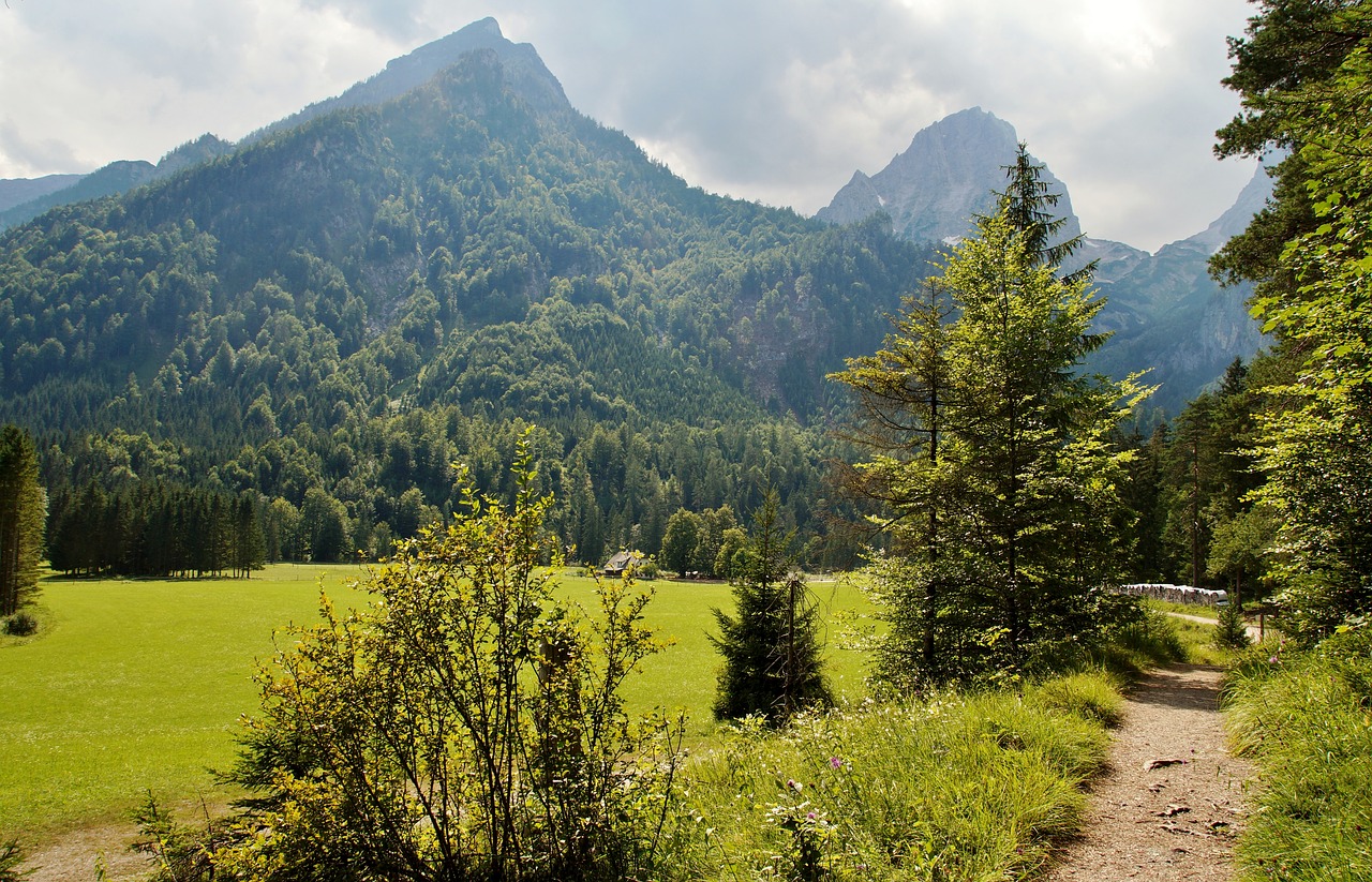 austria  alps  mountains free photo