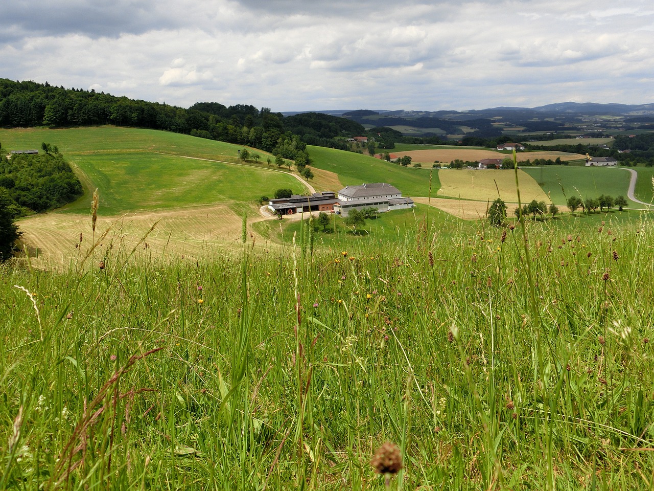 austria alm meadow free photo