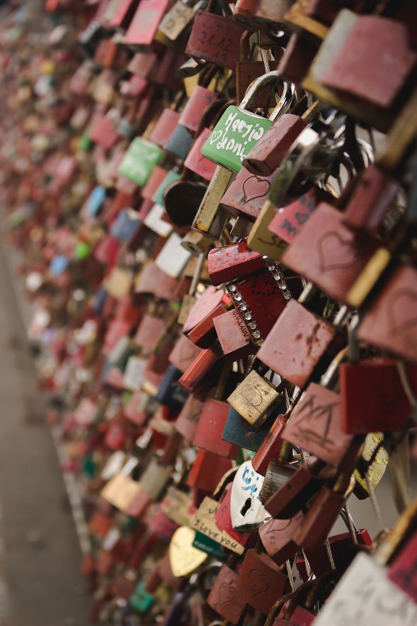 austria  bridge  locks free photo