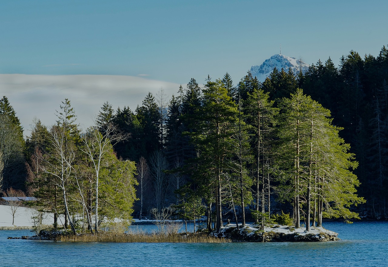 austria  tyrol  hintersteinersee lake free photo