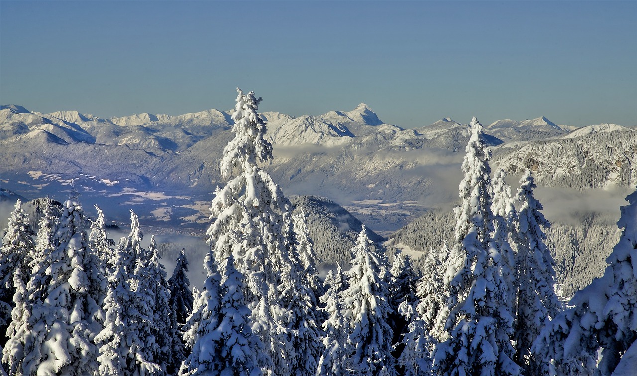 austria  winter  snow free photo