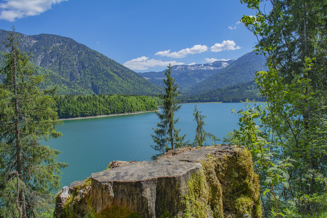 austria  lake  mountain free photo