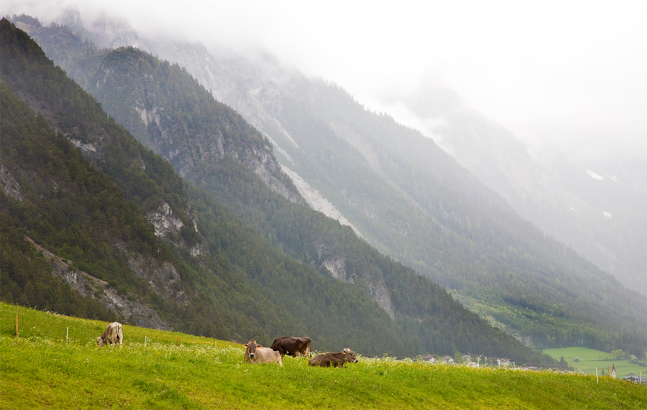 austria alps mountains free photo