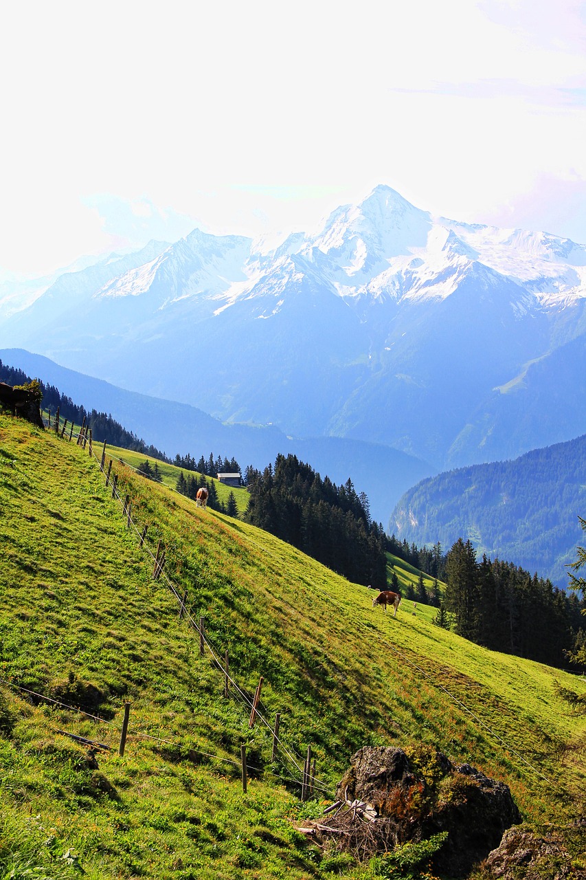 austria mountains alpine free photo