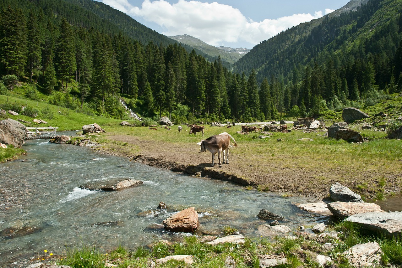 austria landscape mountains free photo