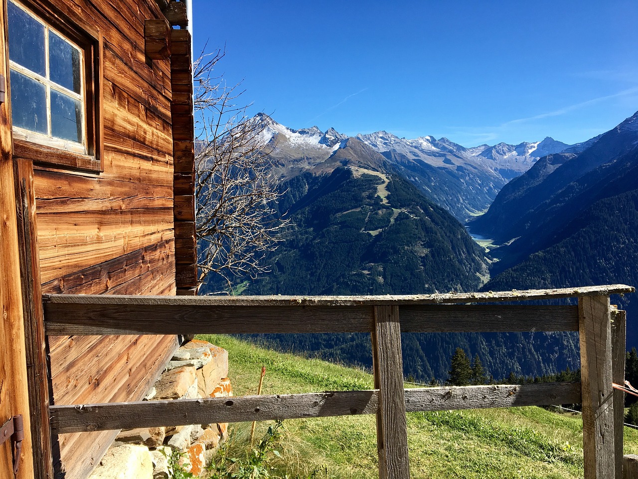 austria alm  mountain  nature free photo