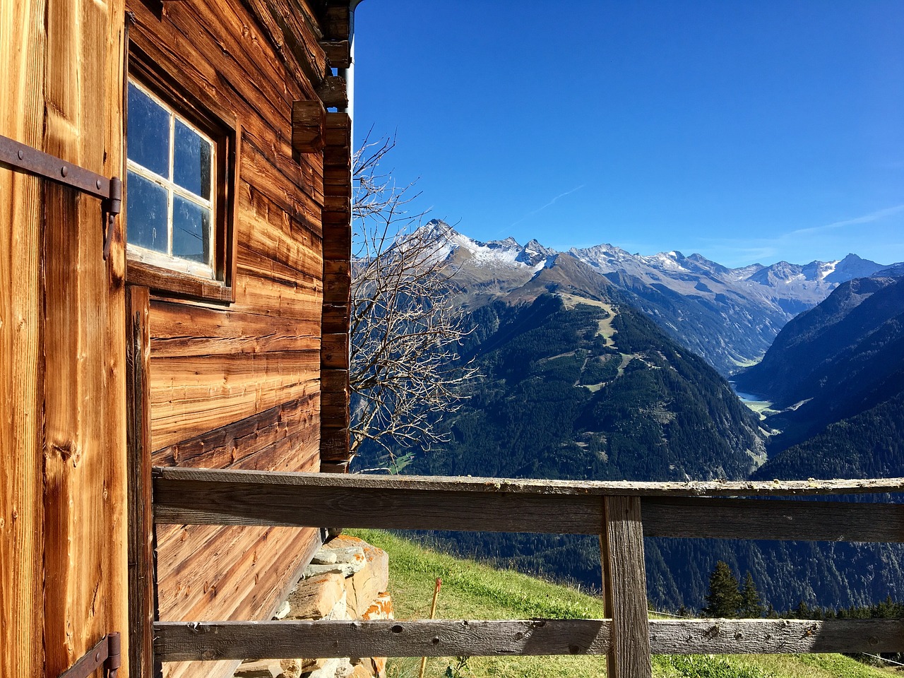 austria alm  mountain  nature free photo