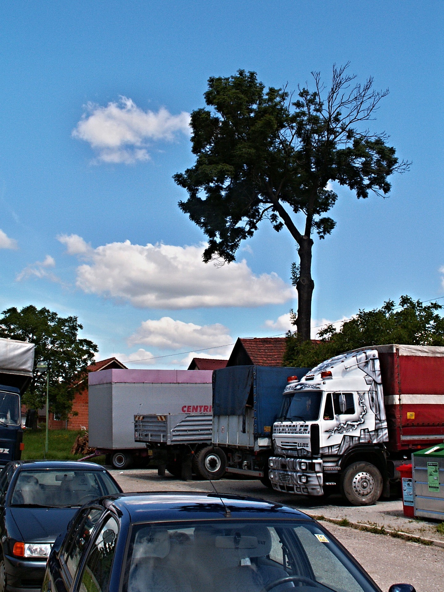 trucks cars tree free photo