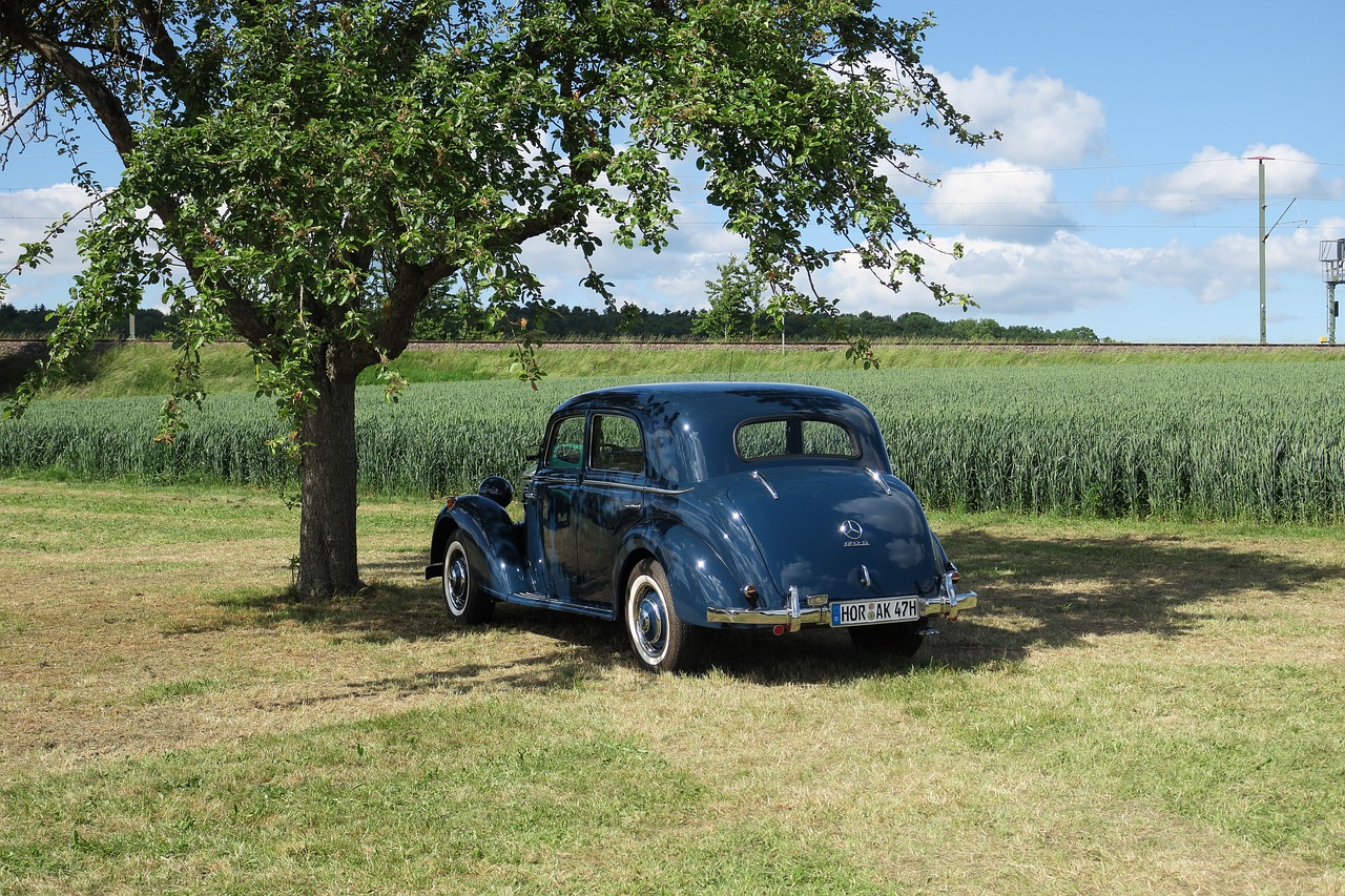 auto oldtimer mercedes free photo