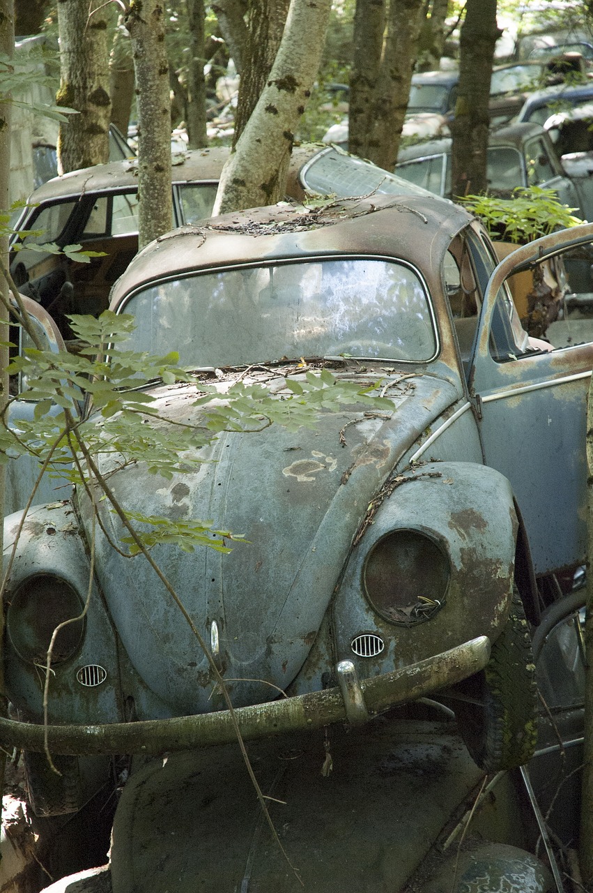 auto car cemetery oldtimer free photo