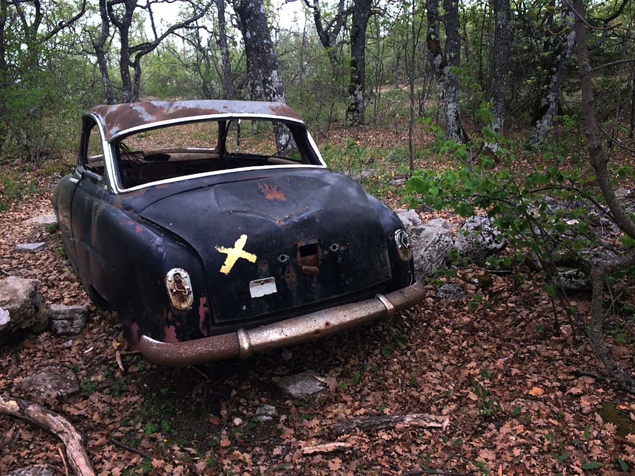 Auto decay rust фото 63