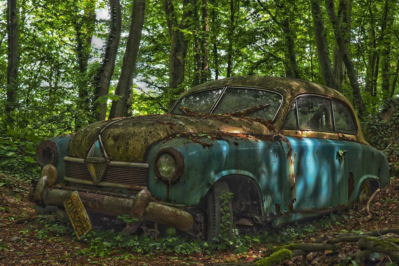 auto  car cemetery  oldtimer free photo