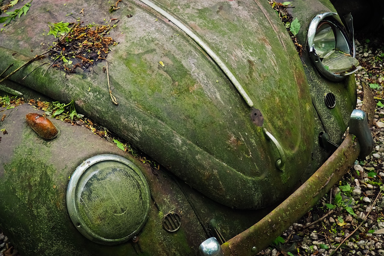 auto  car cemetery  oldtimer free photo