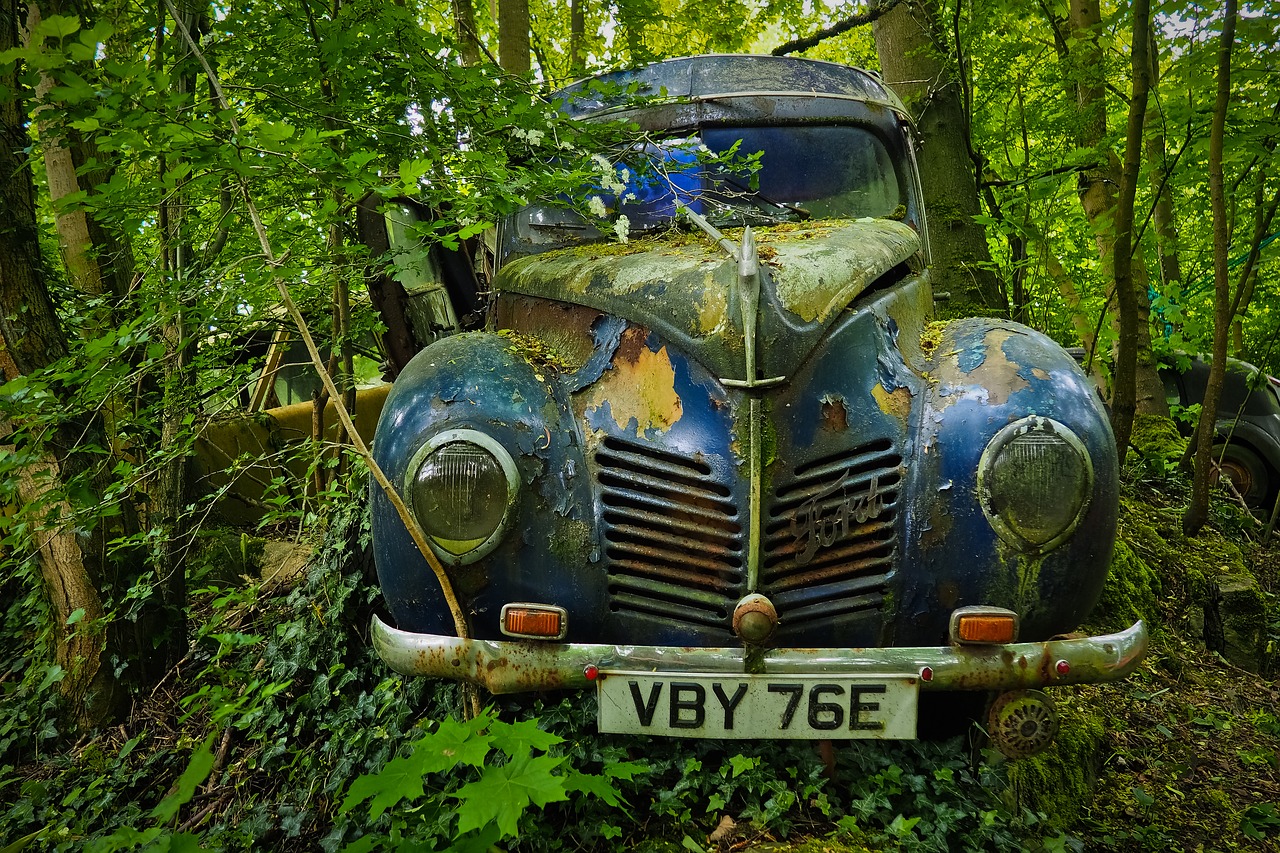 auto  car cemetery  oldtimer free photo