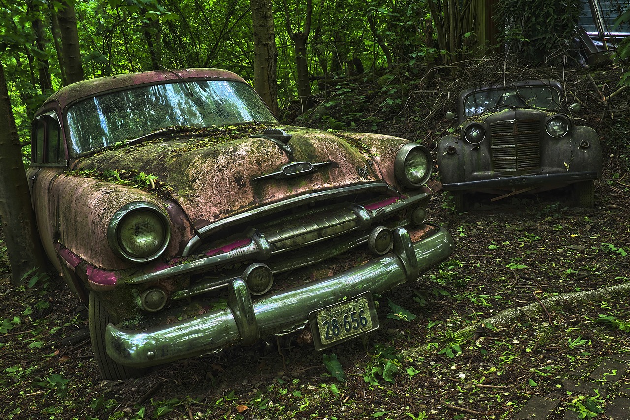 auto  car cemetery  oldtimer free photo