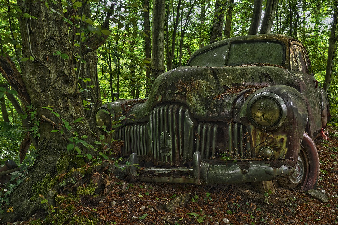 auto  car cemetery  oldtimer free photo