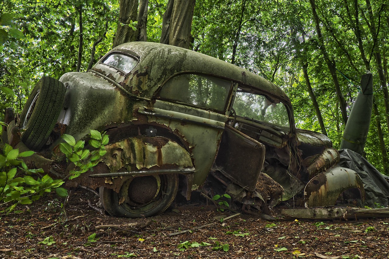 auto  car cemetery  oldtimer free photo