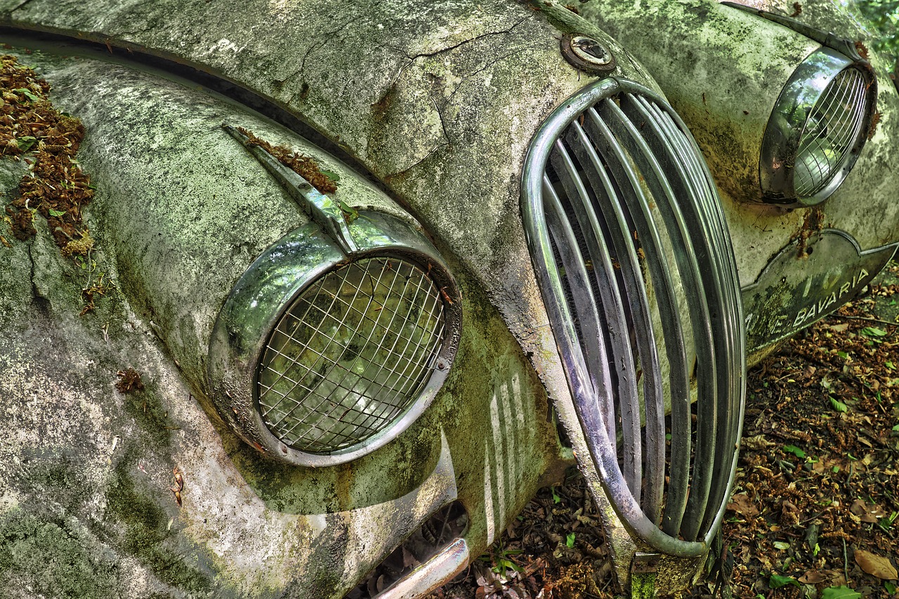 auto  car cemetery  oldtimer free photo