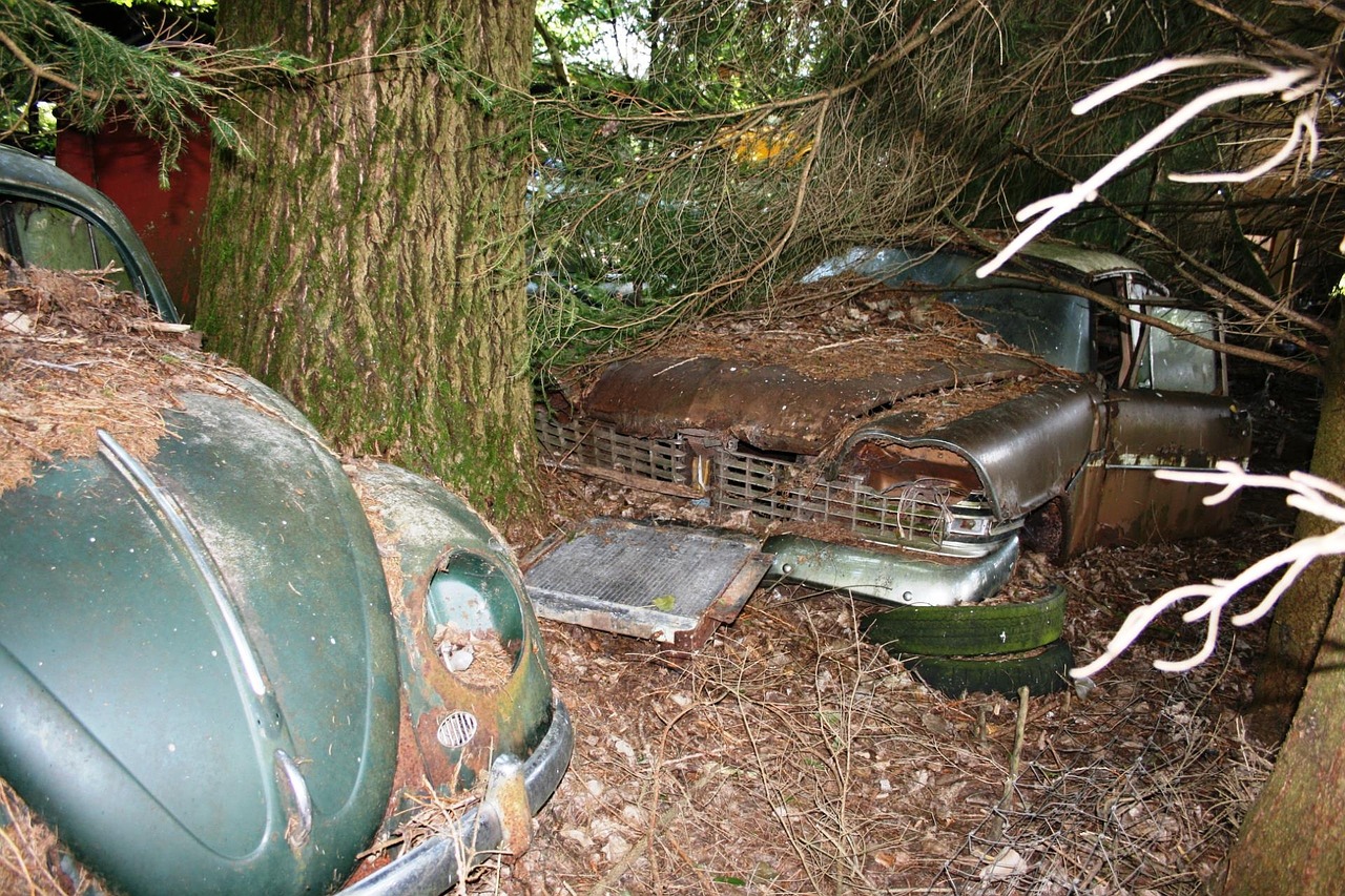 auto car cemetery old free photo