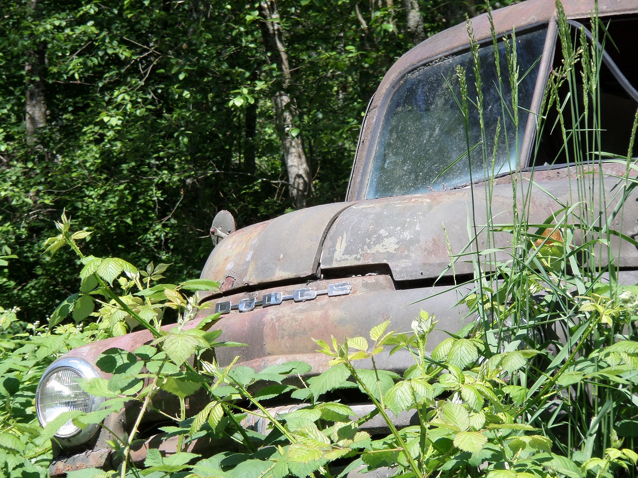 auto truck rusted free photo