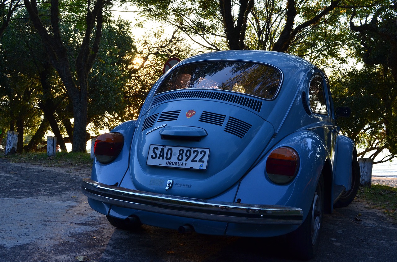 auto sunset trees with cars free photo