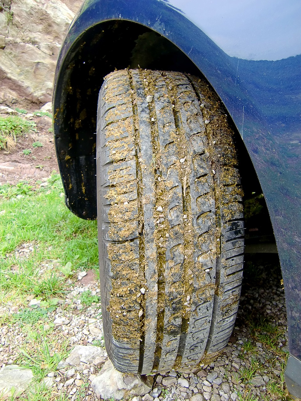 auto tires profile auto free photo