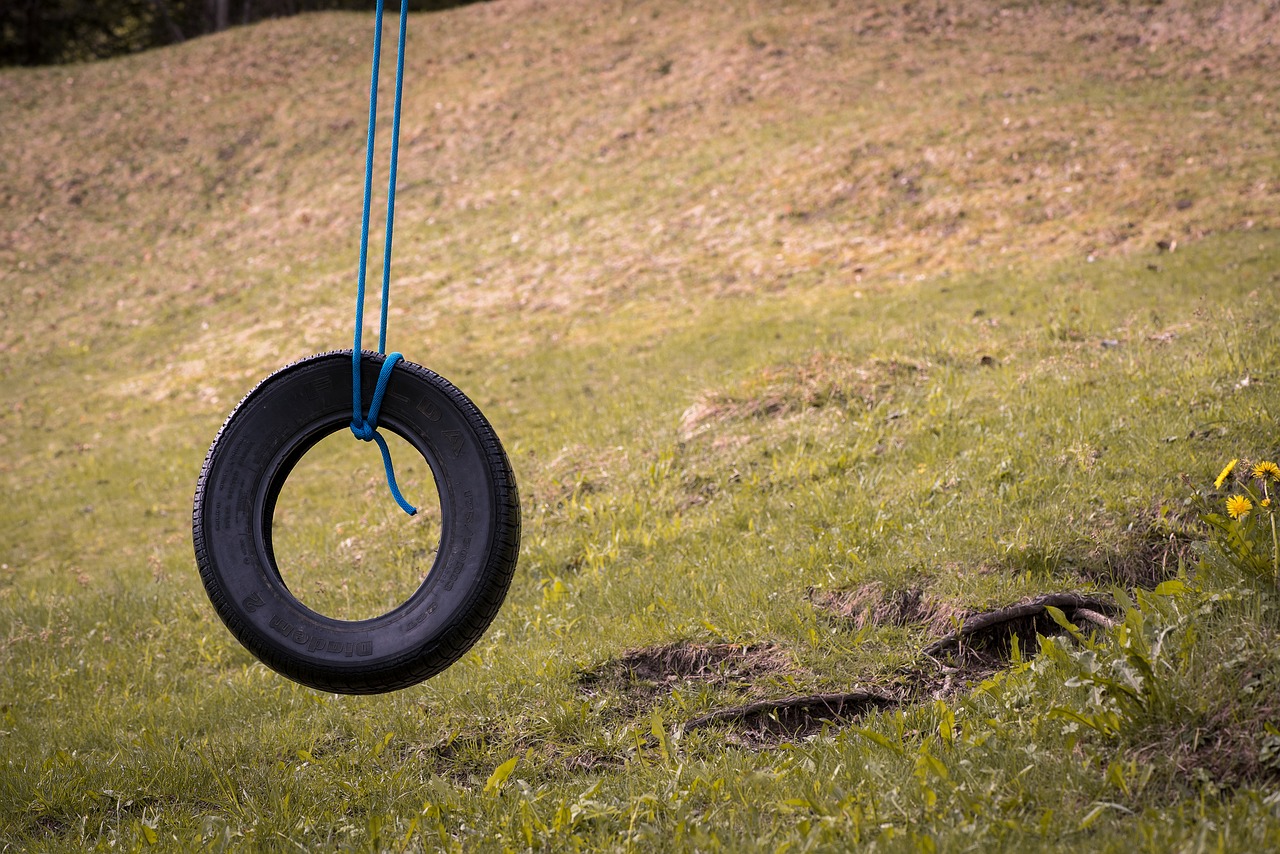 auto tires  swing  tire swing free photo
