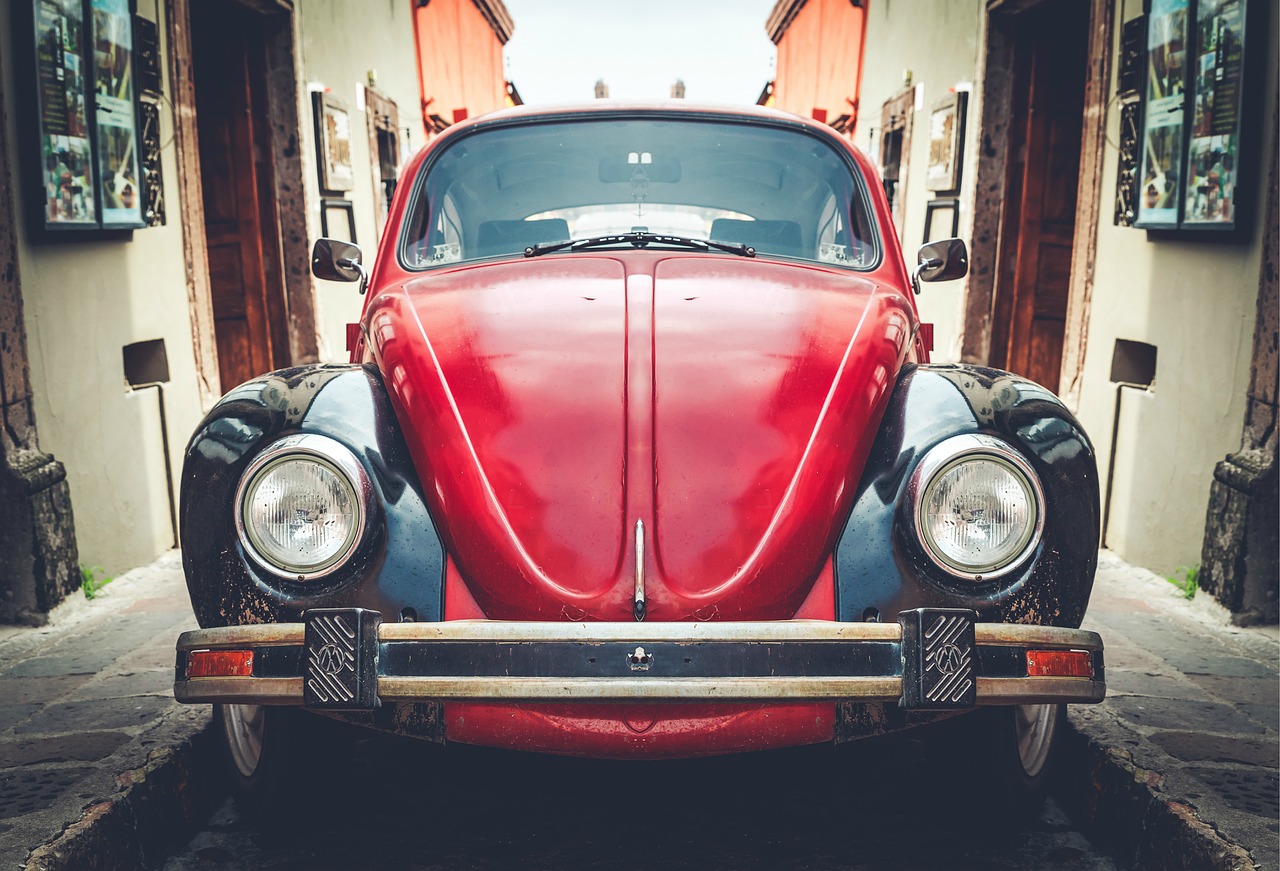 automobile automotive beetle free photo