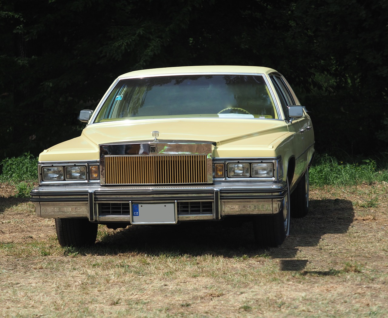 automobile  transport  cadillac free photo