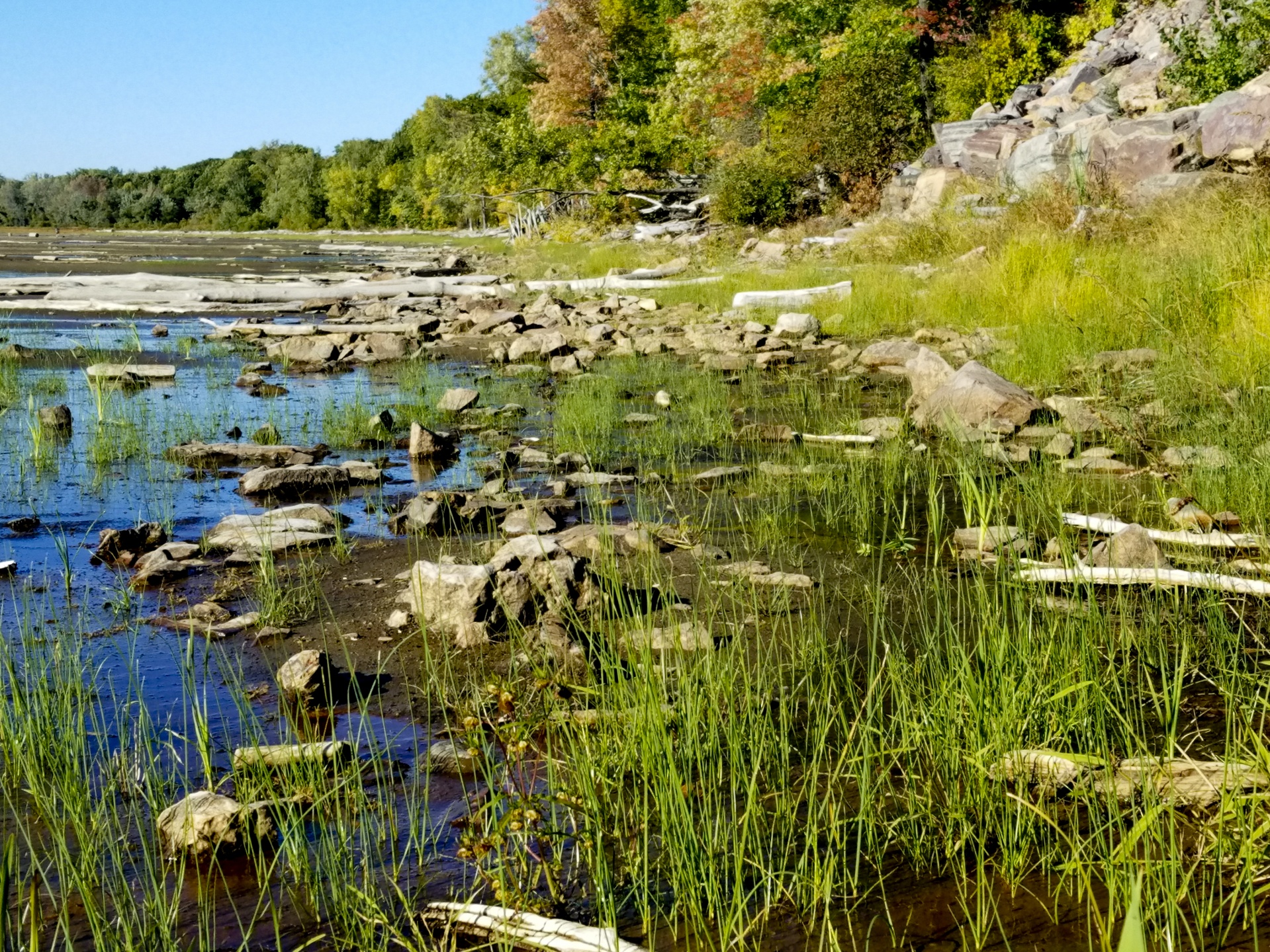 lake fall autumn free photo