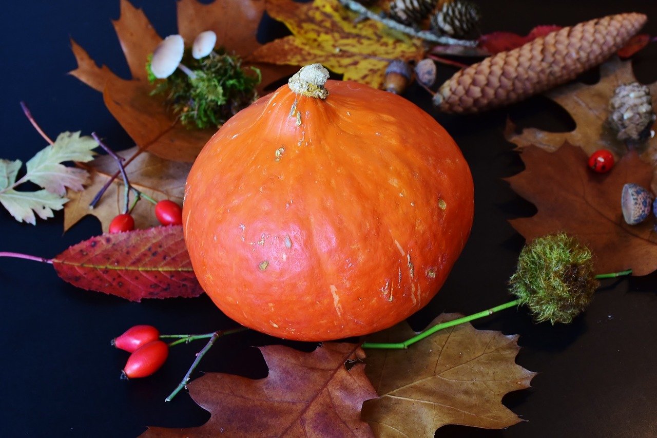autumn harvest pumpkin free photo