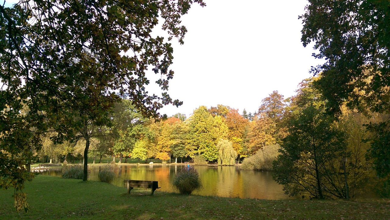 autumn park east frisia free photo