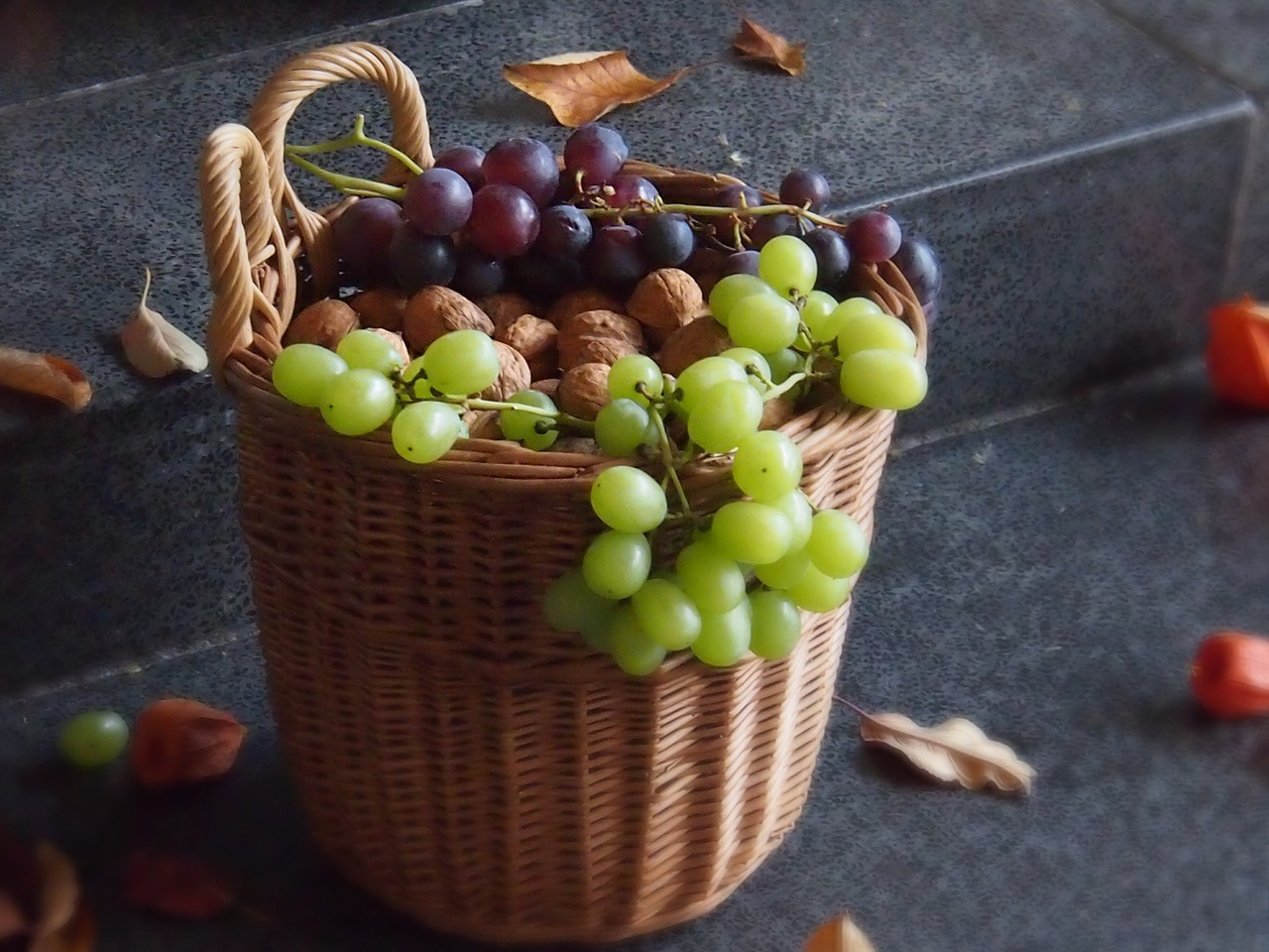 autumn grapes food free photo