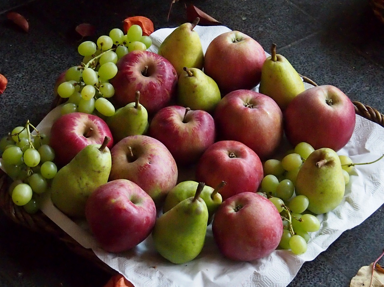 autumn harvest grapes free photo