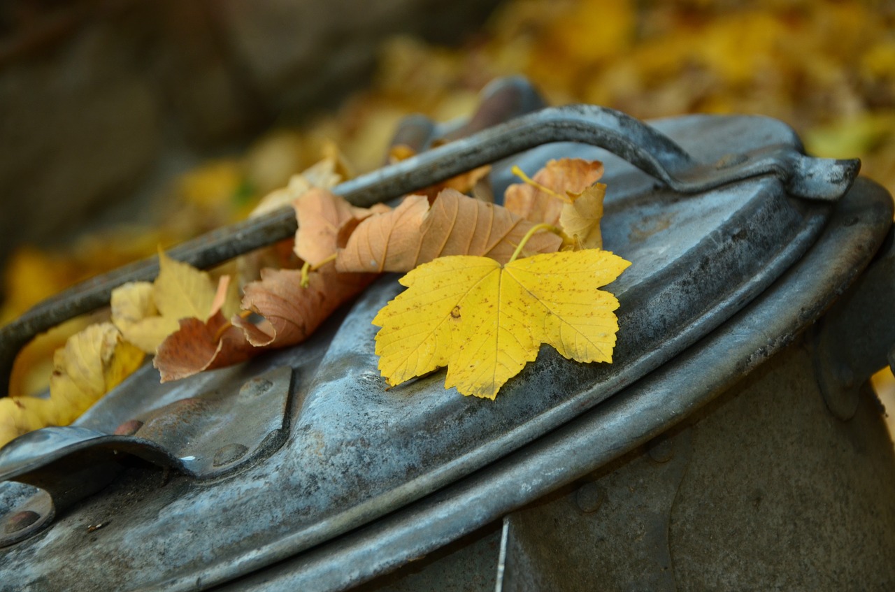 autumn leaves garbage can free photo
