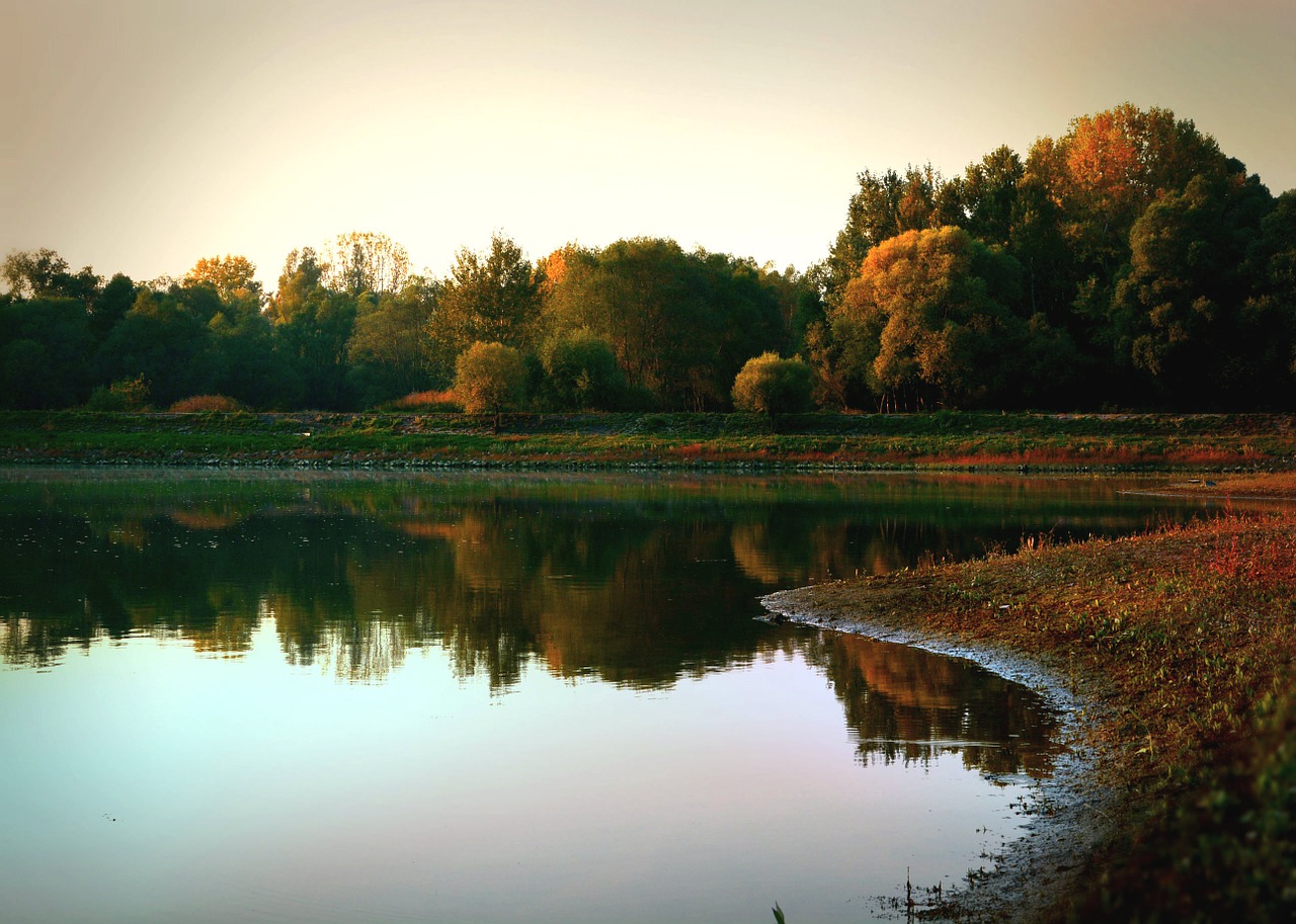 autumn water trees free photo