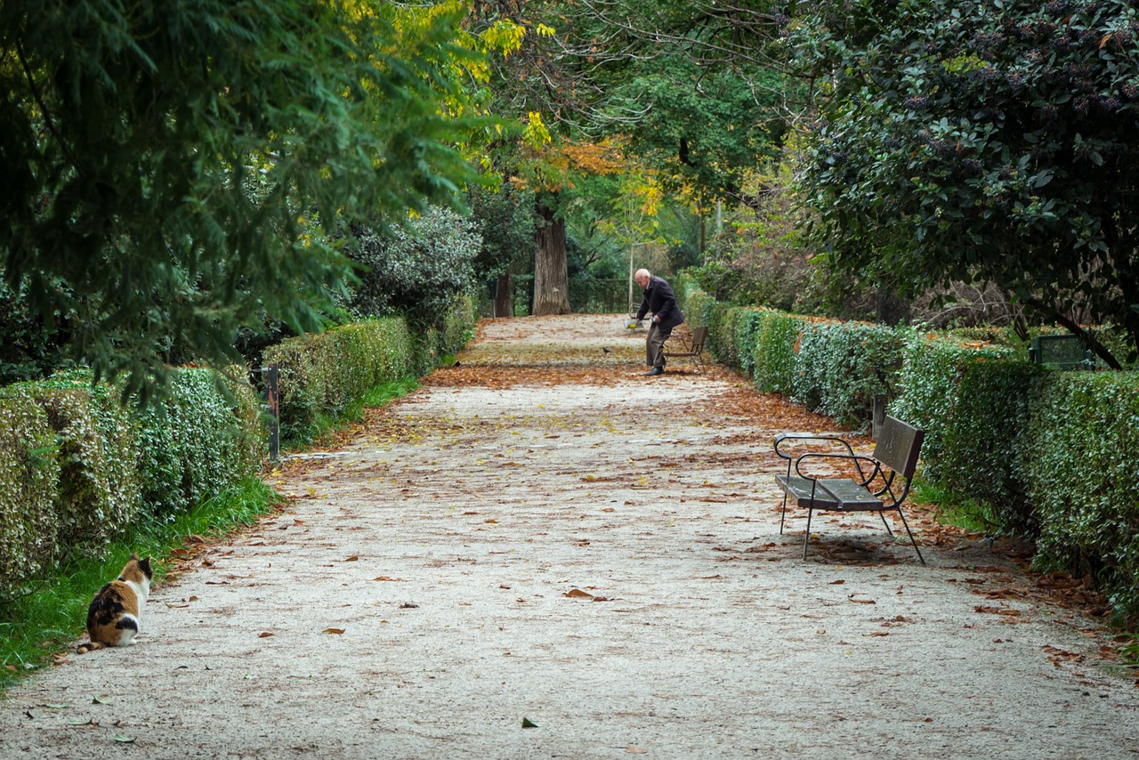 autumn green garden free photo