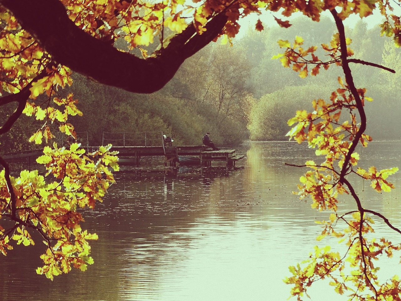 autumn lake time of year free photo