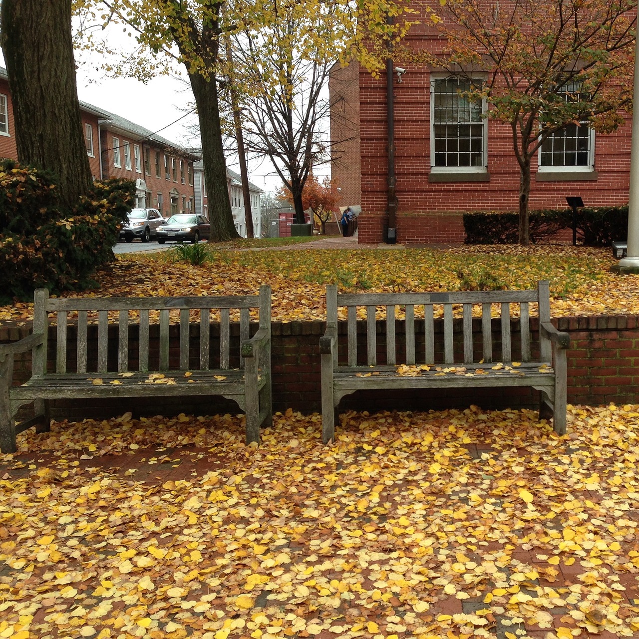 autumn bench fall leaves free photo