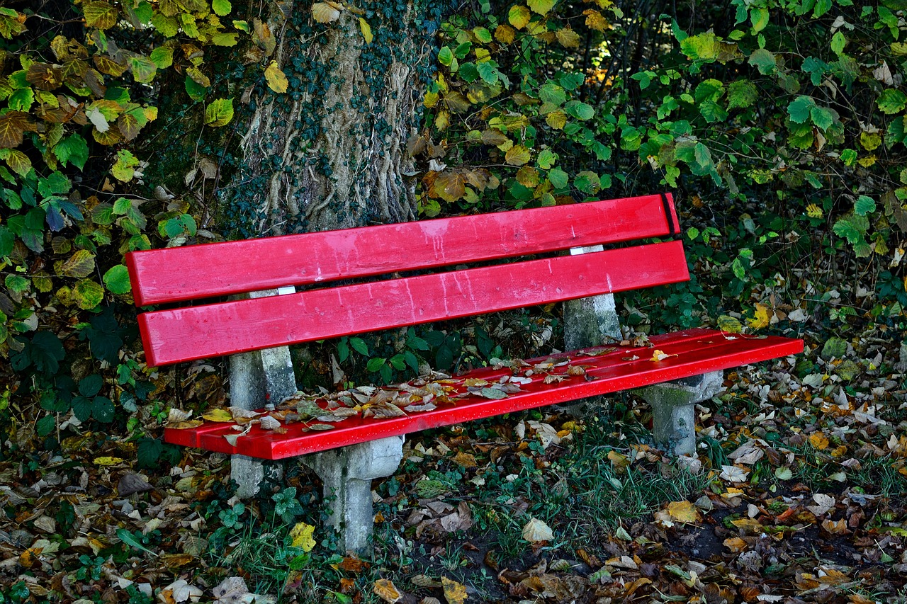 autumn bench bank free photo