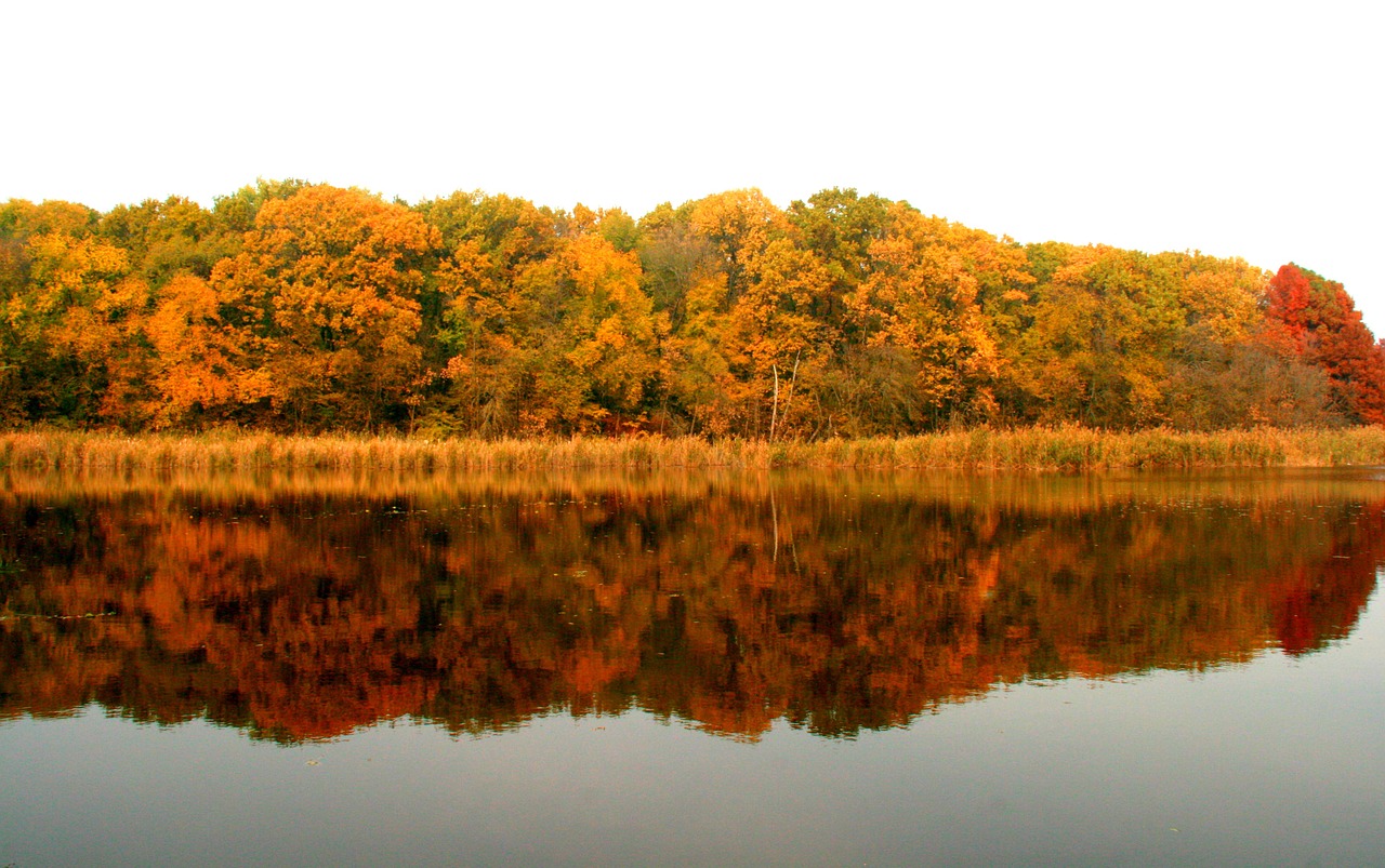 autumn lake forest free photo