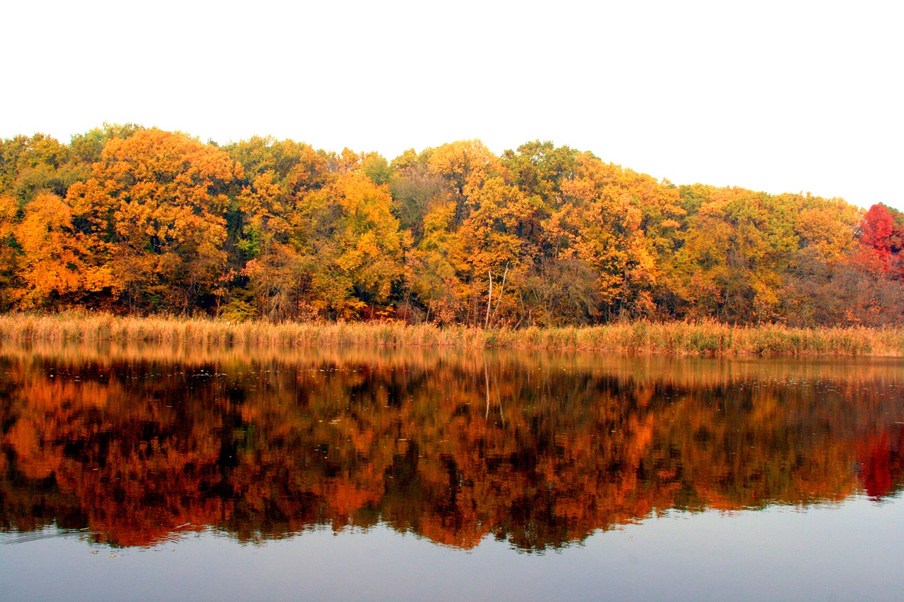 autumn lake forest free photo