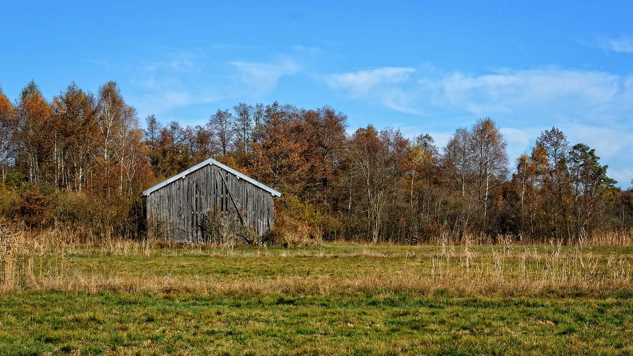 autumn landscape trees free photo