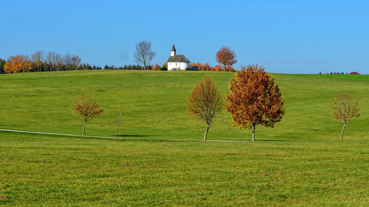 autumn landscape trees free photo