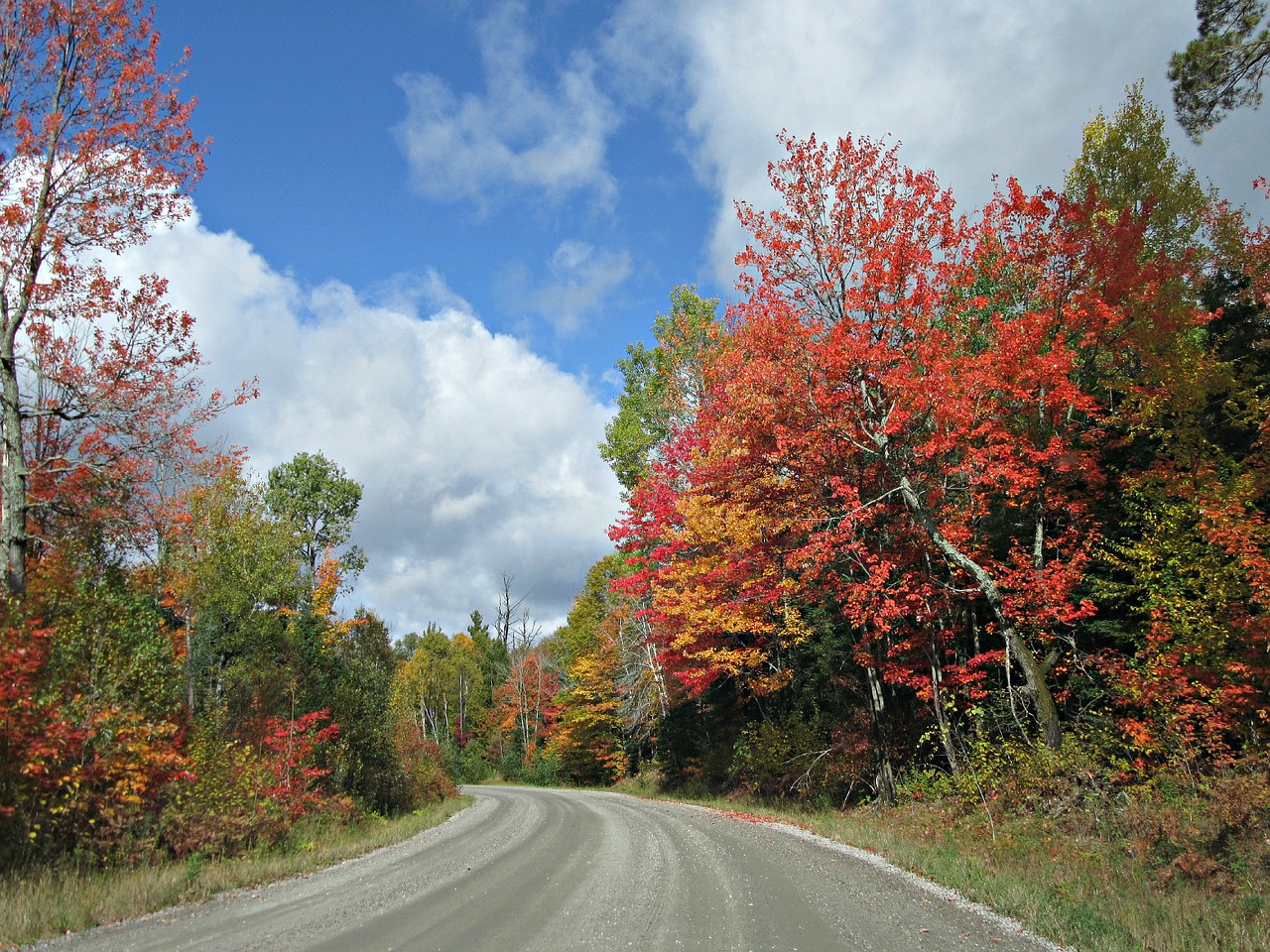 autumn fall road free photo