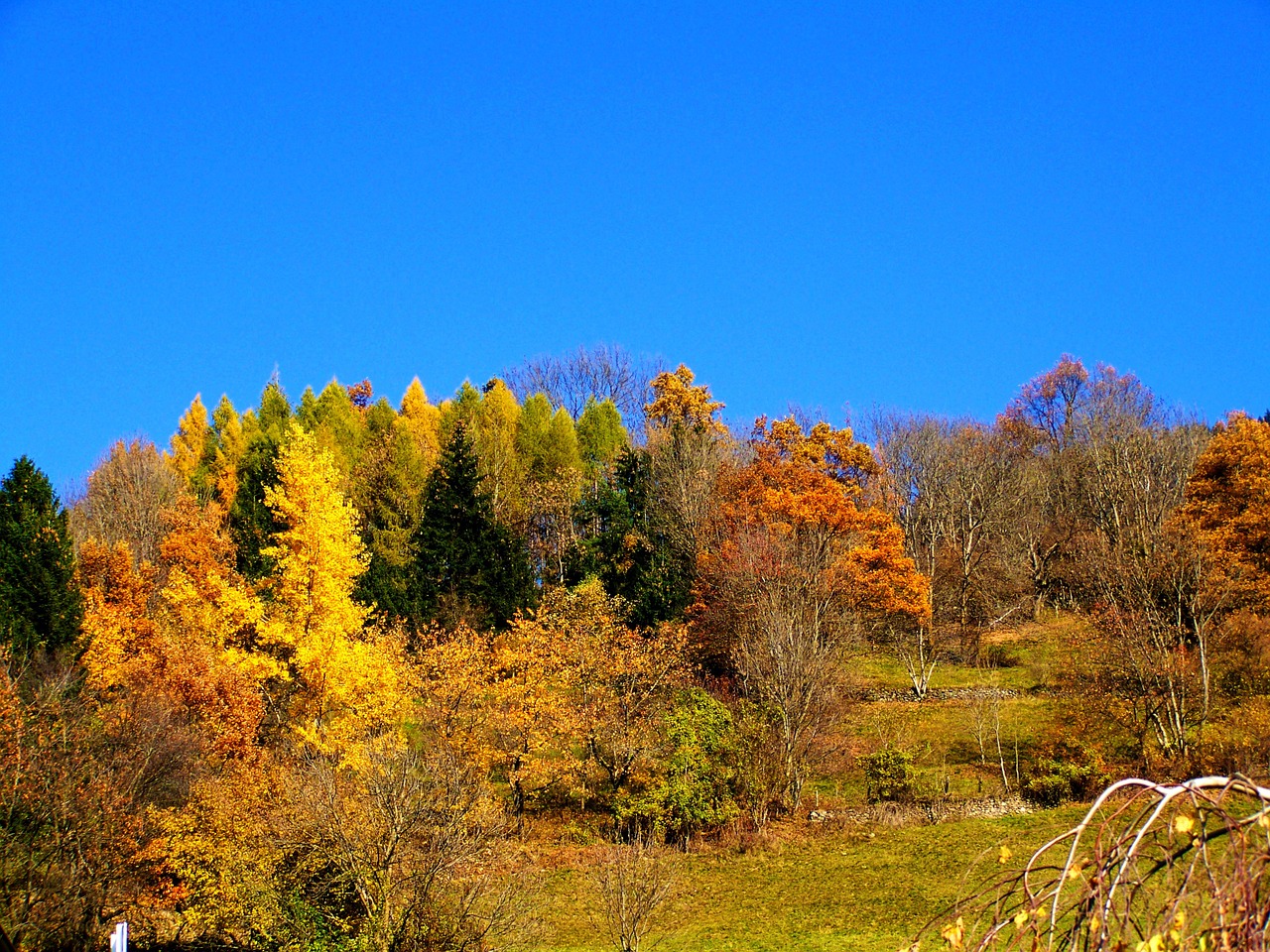 autumn colorful autumn landscape blue sky free photo