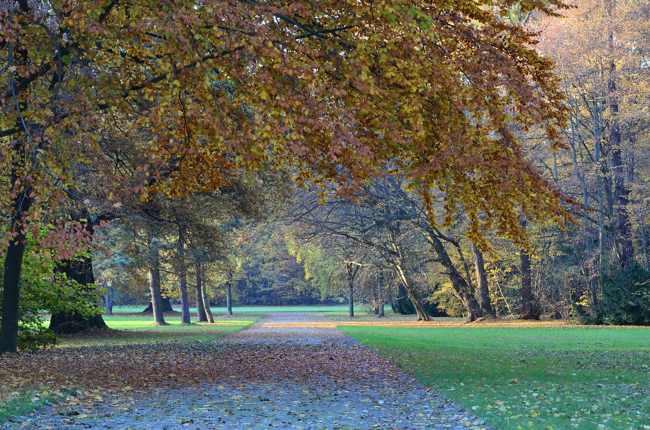 autumn kassel karlsaue free photo