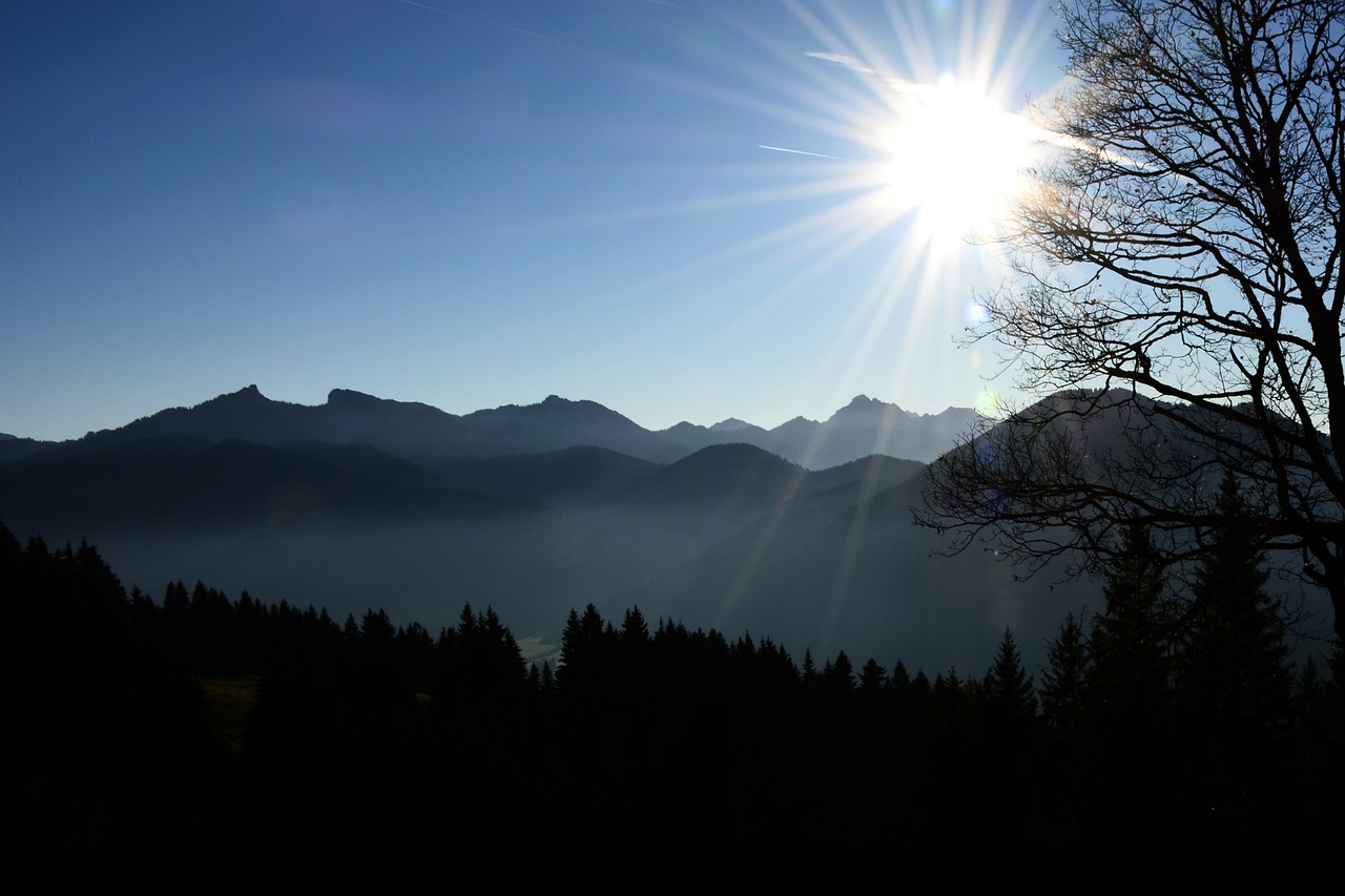 autumn sun forest free photo