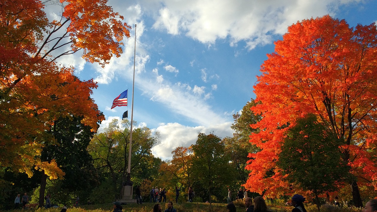 autumn central park usa free photo