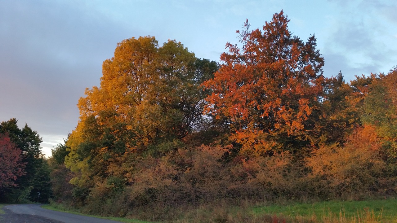 autumn rhön nature free photo